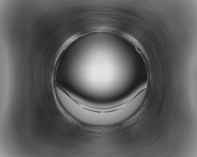 X0000083550946200703091551