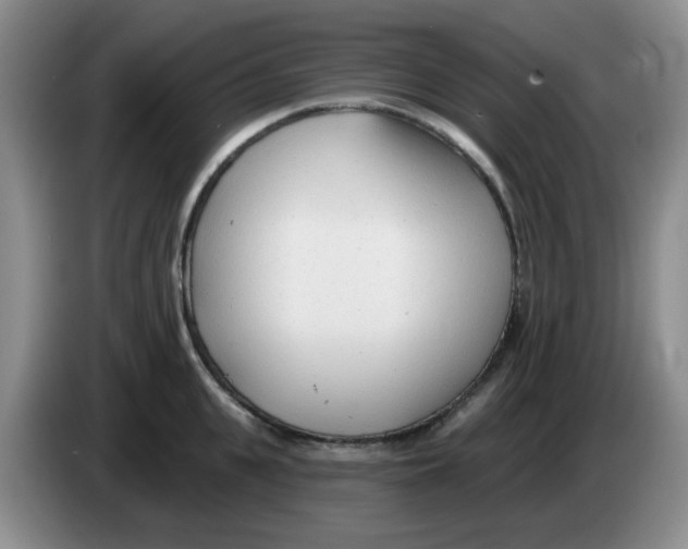 X0000083550951200703091551