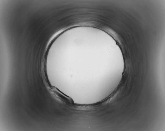 X0000083550952200703091551