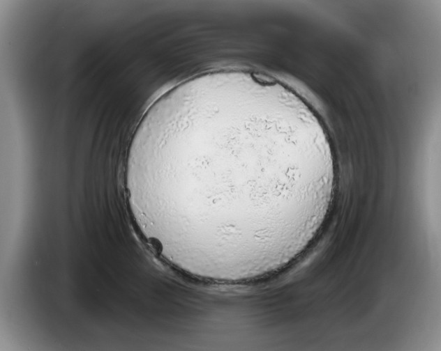 X0000083550953200703091551