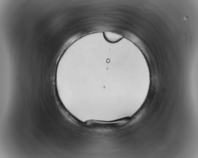 X0000083550954200703091551