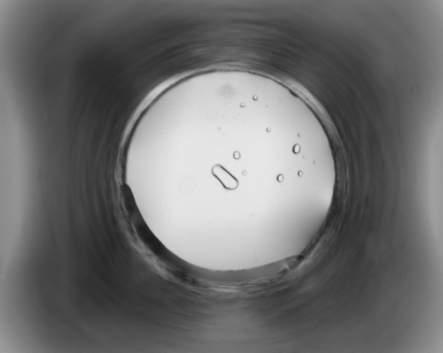 X0000083550956200703091551