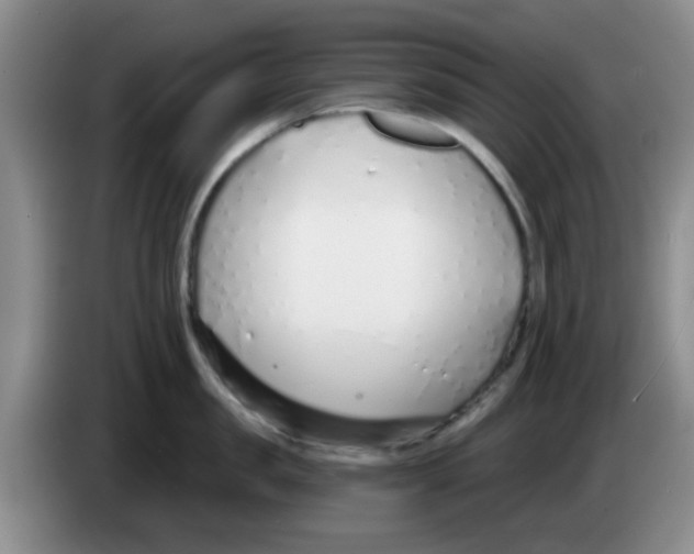 X0000083550957200703091551
