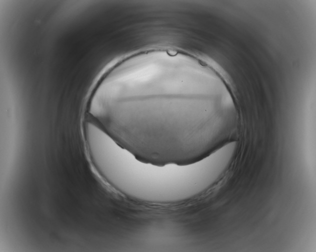 X0000083550958200703091551