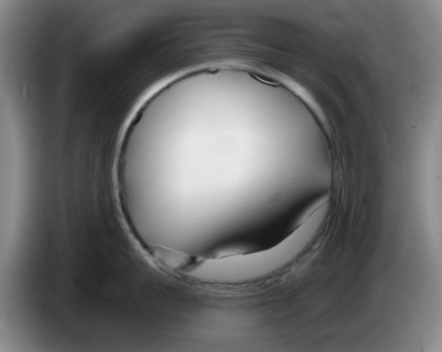 X0000083550959200703091551