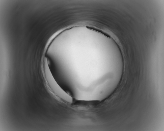 X0000083550960200703091551
