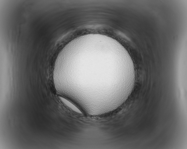 X0000083550966200703091551