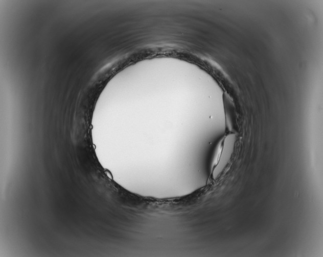 X0000083550967200703091551