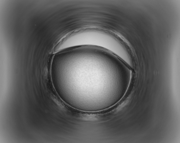 X0000083550969200703091550