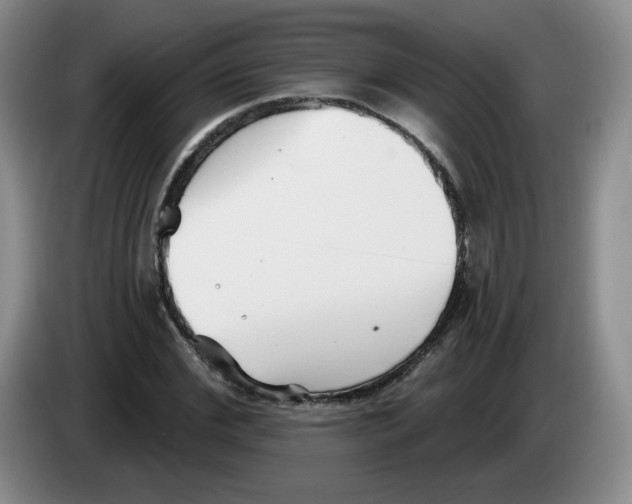 X0000083550972200703091550