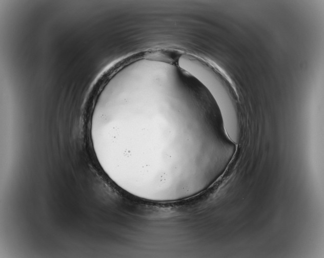 X0000083550975200703091550