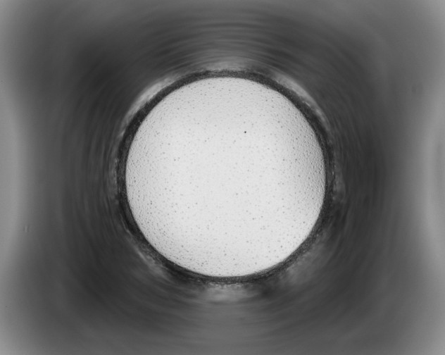 X0000083550978200703091550