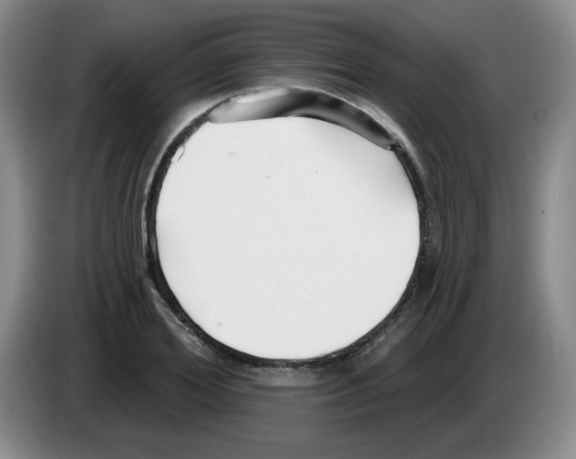 X0000083550980200703091550