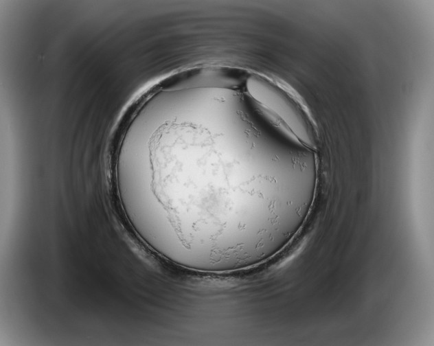 X0000083550981200703091550