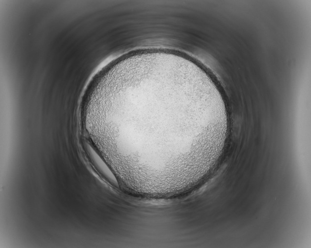 X0000083550982200703091550