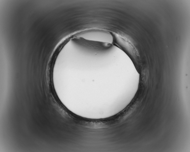 X0000083550983200703091550