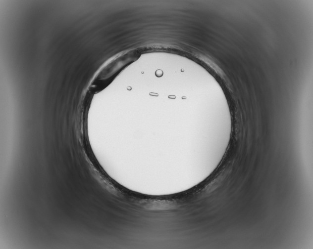 X0000083550984200703091550
