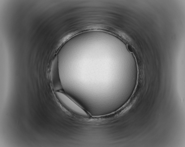 X0000083550985200703091550