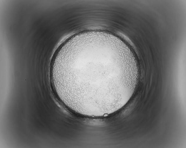 X0000083550986200703091550