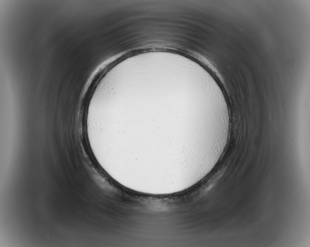 X0000083550987200703091550