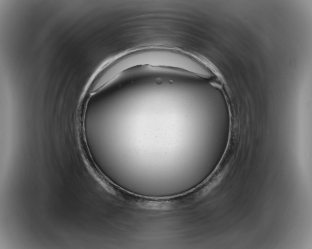 X0000083550989200703091550