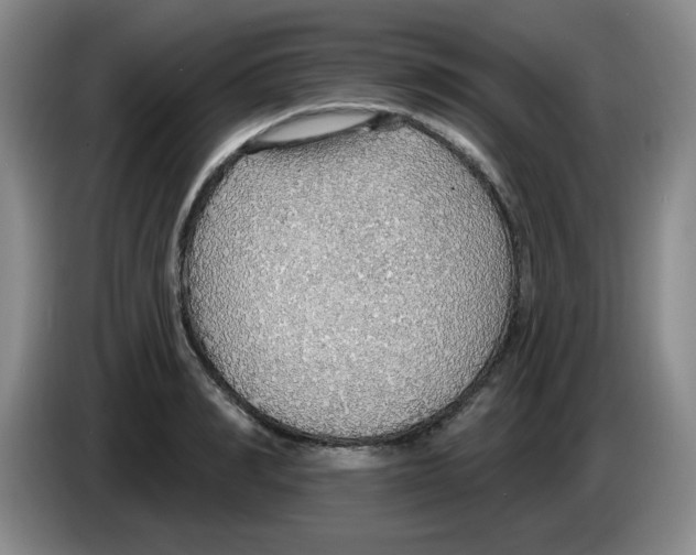 X0000083550990200703091550