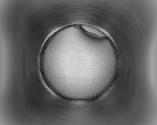 X0000083550991200703091550