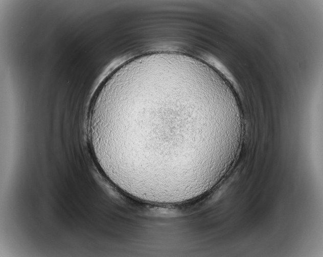 X0000083550994200703091550