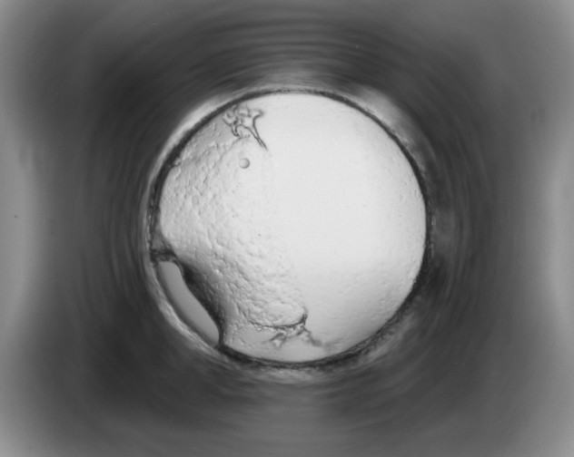 X0000083550998200703091550