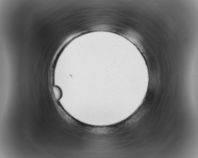 X0000083551000200703091550