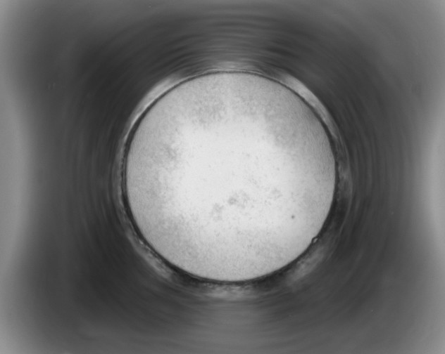 X0000083551002200703091550