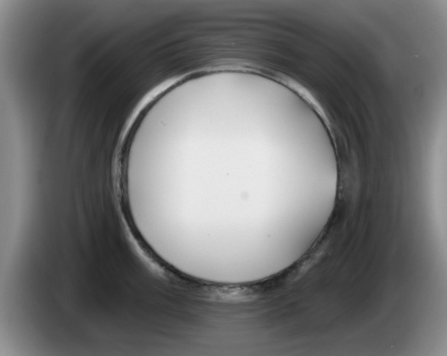 X0000083551003200703091550
