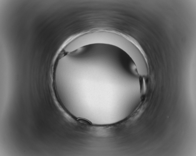 X0000083551005200703091550