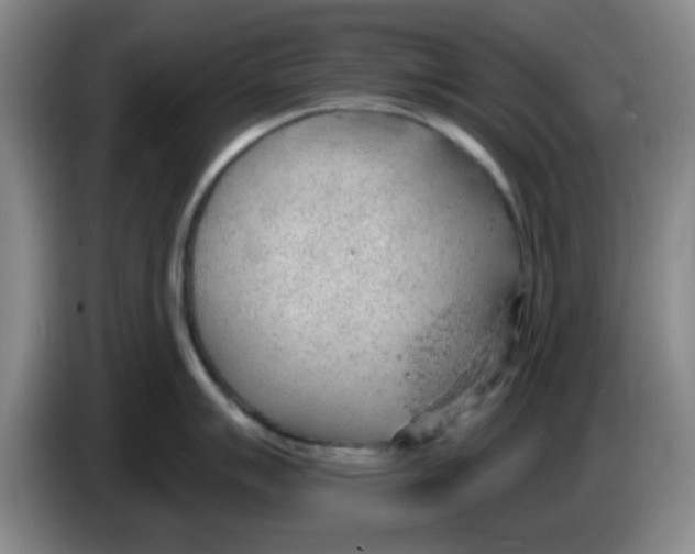 X0000083551007200703091550