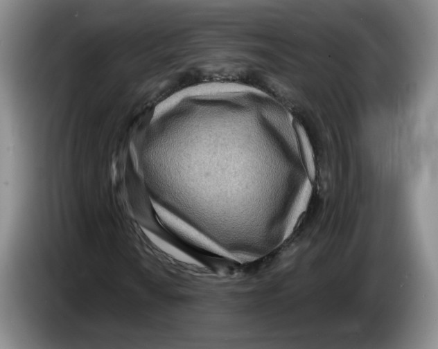 X0000083551010200703091549