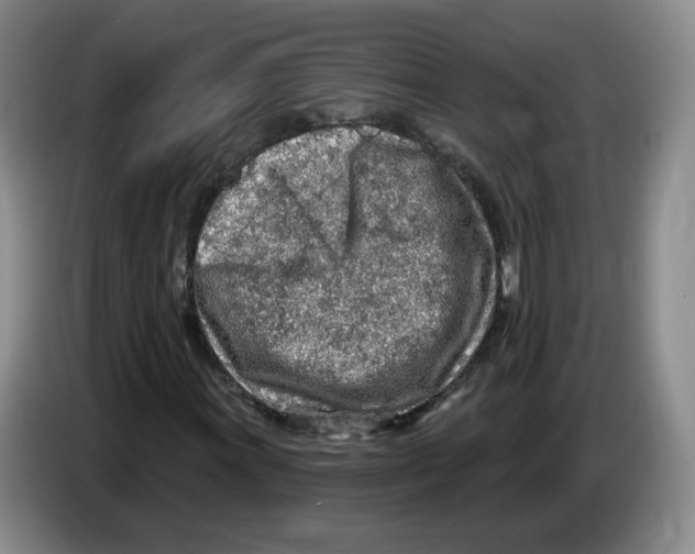 X0000083551011200703091549