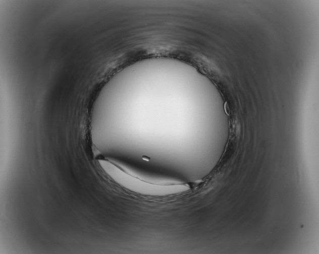 X0000083551012200703091549