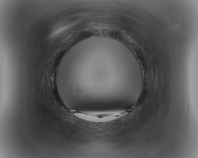 X0000083551013200703091549