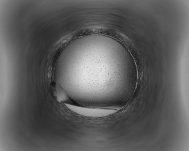 X0000083551014200703091549