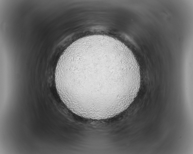 X0000083551015200703091549