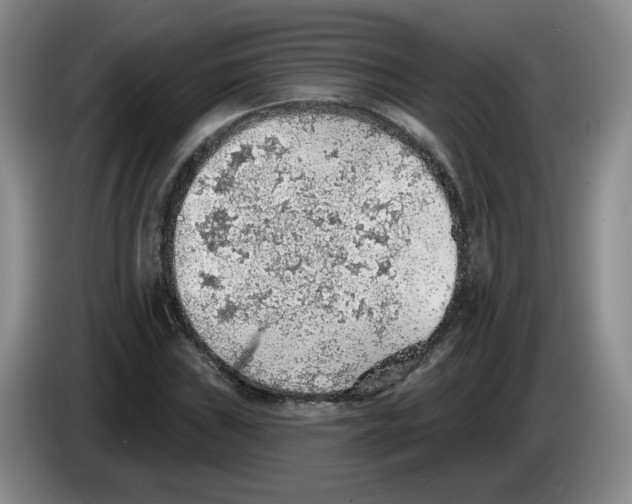 X0000083551019200703091549