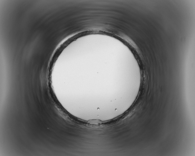 X0000083551020200703091549