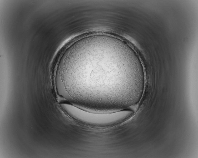 X0000083551022200703091549