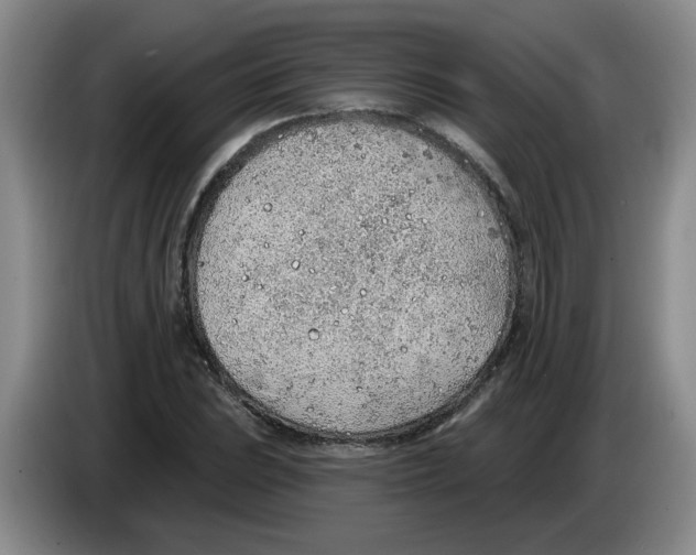 X0000083551023200703091550