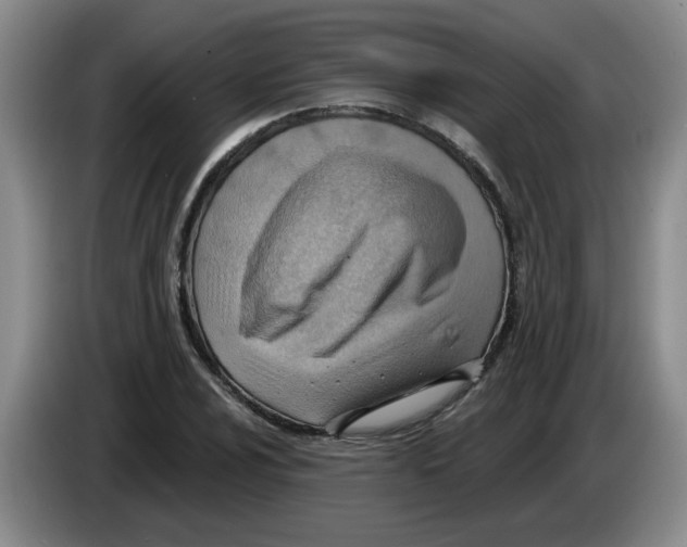 X0000083551024200703091550