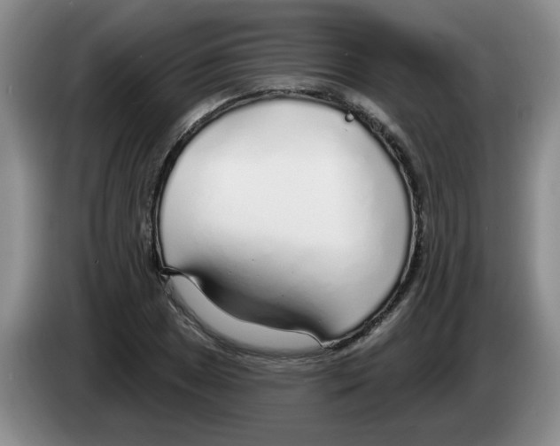 X0000083551025200703091550