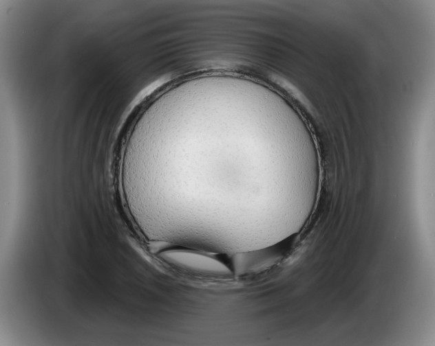 X0000083551026200703091550