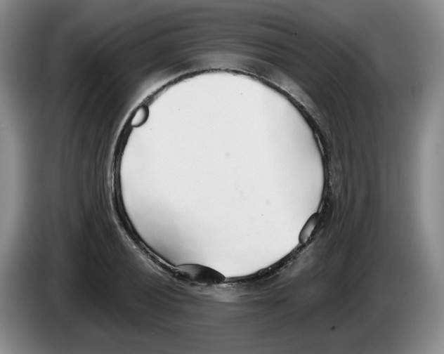 X0000083551028200703091550