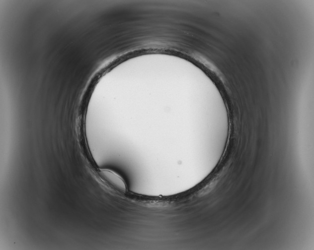 X0000083551029200703091550