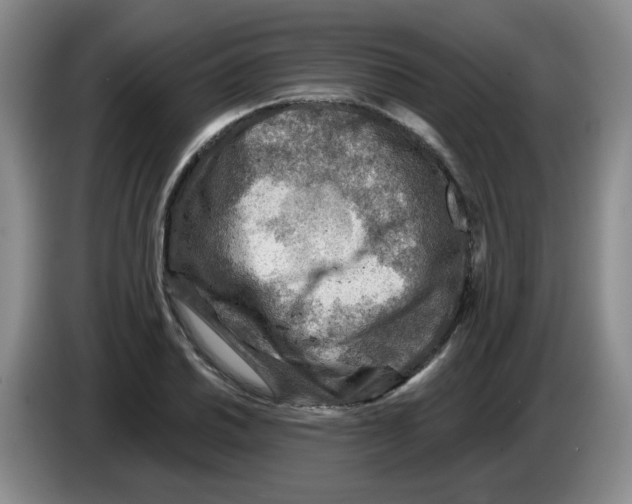 X0000083551030200703091550